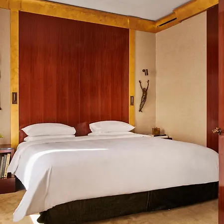 Hotel Park Hyatt - Vendome 5*
